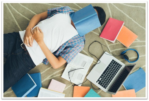 Online Public Charter Schools: A Different Approach to Homeschool