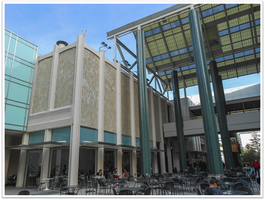 Field Trips & Online Schooling
